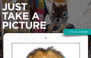 Animal Heads screenshot 1