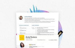 Zalent Resume screenshot 1