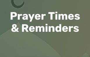 ZikerZone screenshot 3