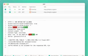 Reqable screenshot 3