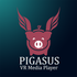 Pigasus VR Media Player icon