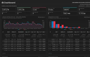 GoAccess screenshot 2