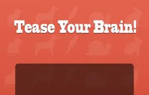 WordSearch Challenge screenshot 2