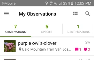 iNaturalist screenshot 2
