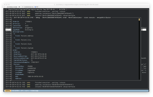 json-log-viewer screenshot 1