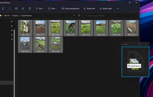Shelfit screenshot 2
