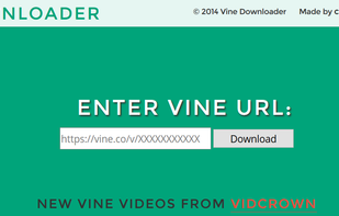 Vine Downloader screenshot 1