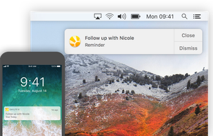 Daylite screenshot 2