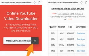 PickVideo screenshot 1