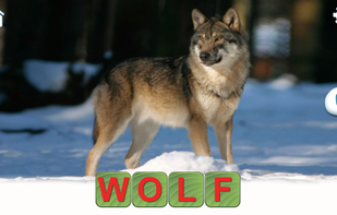 Learn to Read & Save Animals screenshot 2