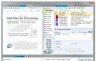 Batch Hex Editor screenshot 1