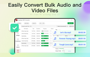 Kingshiper MP3 Converter screenshot 3