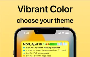 MyDayWidget screenshot 1
