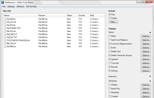 FileRenamer screenshot 1