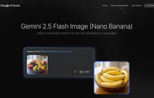 Gemini Image screenshot 1