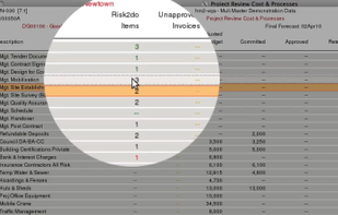 Individual project "Risk" review items to be 'signed off' by higher access user, for each project