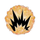 Self-Destructing Cookies icon