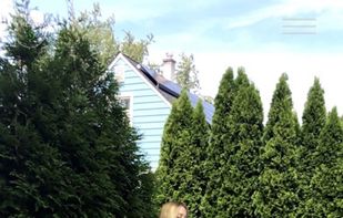 Reality Browser screen-cap : Transparent Video