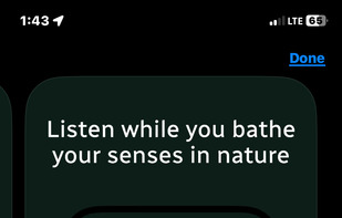 Treequility screenshot 3