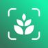 Plant identifier - Find Insect icon