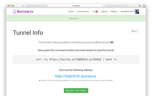 2. The next screen will confirm the tunnel is set up, and ready to go. Note the URL generated automatically for you. You will use this URL to access your localhost through the tunnel.