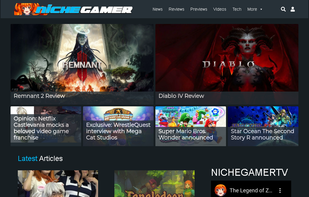 Niche Gamer screenshot 1