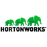 HortonWorks Data Platform icon