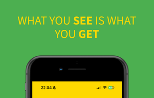 Scanfig screenshot 2