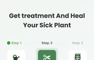 Plant Problem Diagnosis screenshot 1