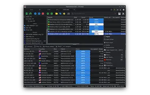 TrguiNG screenshot 3