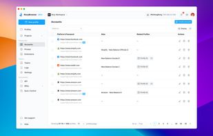 RoxyBrowser screenshot 3