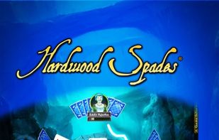Hardwood Spades screenshot 3