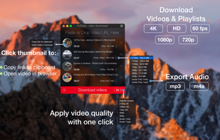 Select any video quality that is available on YouTube or Vimeo or apply quality for all with just a click.