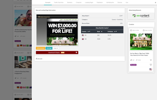 Synopsis view which shows important information such as landing page, alexa data, ad network