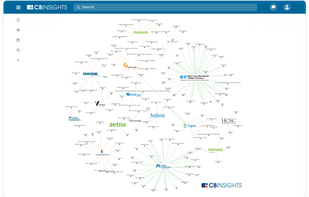 Reveal competitor strategy
