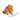PetNoter icon