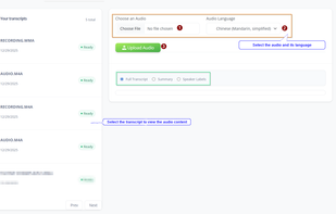 Audio Transcript UI