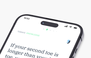 Small Talk - Micro Learning screenshot 1