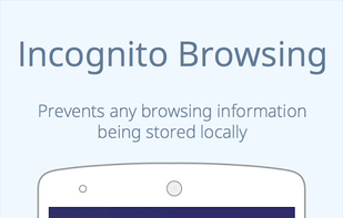 CM Browser screenshot 2