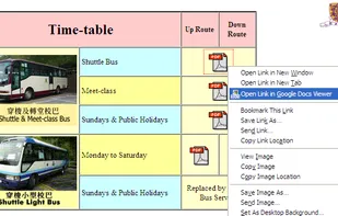 Google Docs Viewer (Firefox add-on) screenshot 1