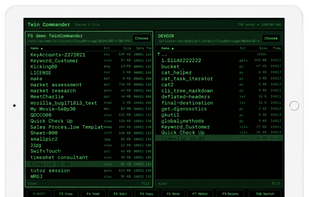 Twin Commander screenshot 1