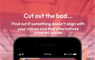 Boycat  screenshot 2