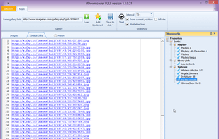 Web Gallery Downloader screenshot 1