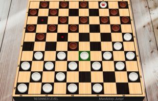 English Checkers screenshot 2