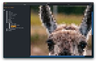 oterm screenshot 2