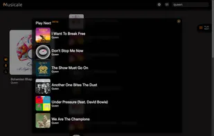 Play Next (Beta) feature