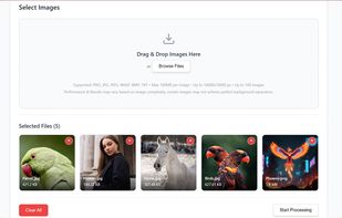 Images Uploaded for Processing
