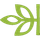 Ancestry icon