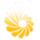 MaxMirror icon