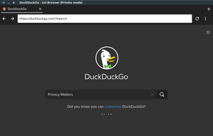 Liri Browser screenshot 2